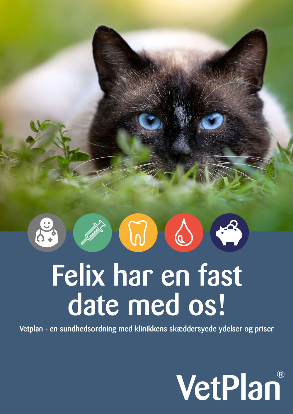 VetPlan – forebyggende sundhedsordning til kæledyr | VetFamily
