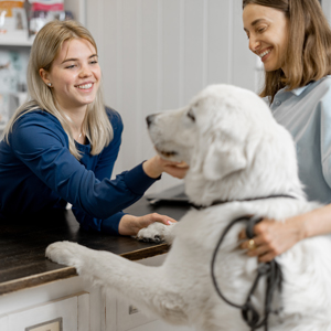 receptionist uddannelse